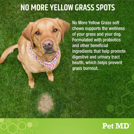 PET MD - Pet MD Lawn Aid Chews No More Yellow Spots 120 Masticables - The Red Vitamin MX - Salud De Tracto Urinario Para Perros - {{ shop.shopifyCountryName }}