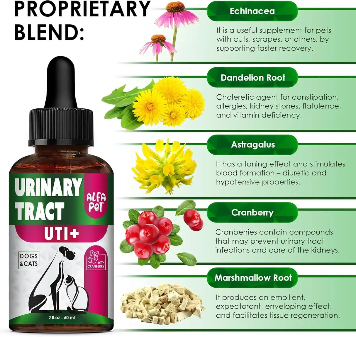 ALFA PET - Alfa Pet Urinary Tract Infection Treatment with Cranberry 2 Fl.Oz. - The Red Vitamin MX - Salud De Tracto Urinario Para Perros - {{ shop.shopifyCountryName }}