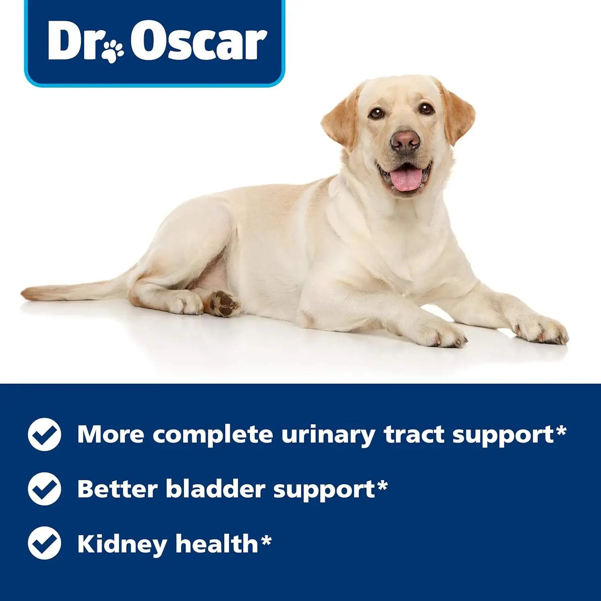 DR. OSCAR - Dr. Oscar Dog UTI Treatment Chicken Flavor 90 Tabletas - The Red Vitamin MX - Salud De Tracto Urinario Para Perros - {{ shop.shopifyCountryName }}