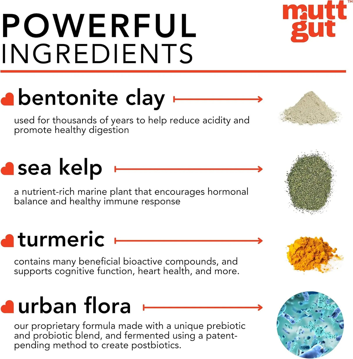 MUTTGUT - MUTTGUT All-Natural 3-in-1 Dog Probiotic 90Gr. - The Red Vitamin MX - Probióticos Para Perros - {{ shop.shopifyCountryName }}