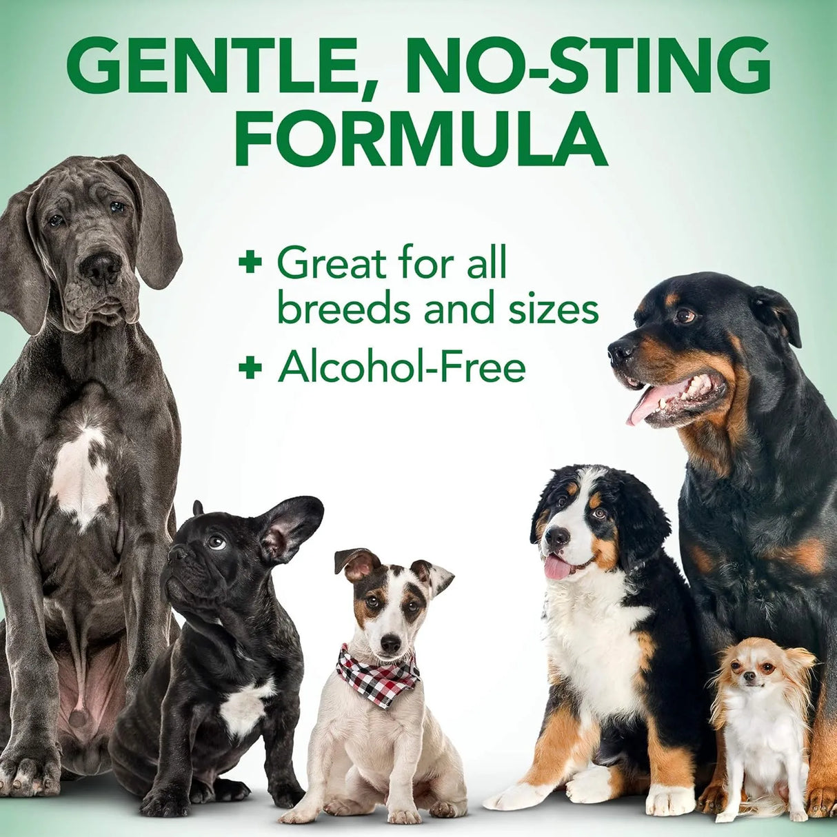 VET'S BEST - Vet's Best Dog Ear Relief Wash 4 Fl.Oz. - The Red Vitamin MX - Cuidado Del Oído De Perros - {{ shop.shopifyCountryName }}