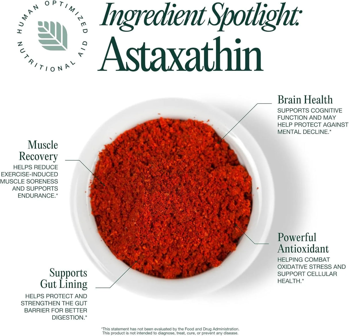 HONA - Hona Fiber & Greens Gut & Superfood Blend 15 Servicios 160Gr. - The Red Vitamin MX - Suplementos Alimenticios - {{ shop.shopifyCountryName }}