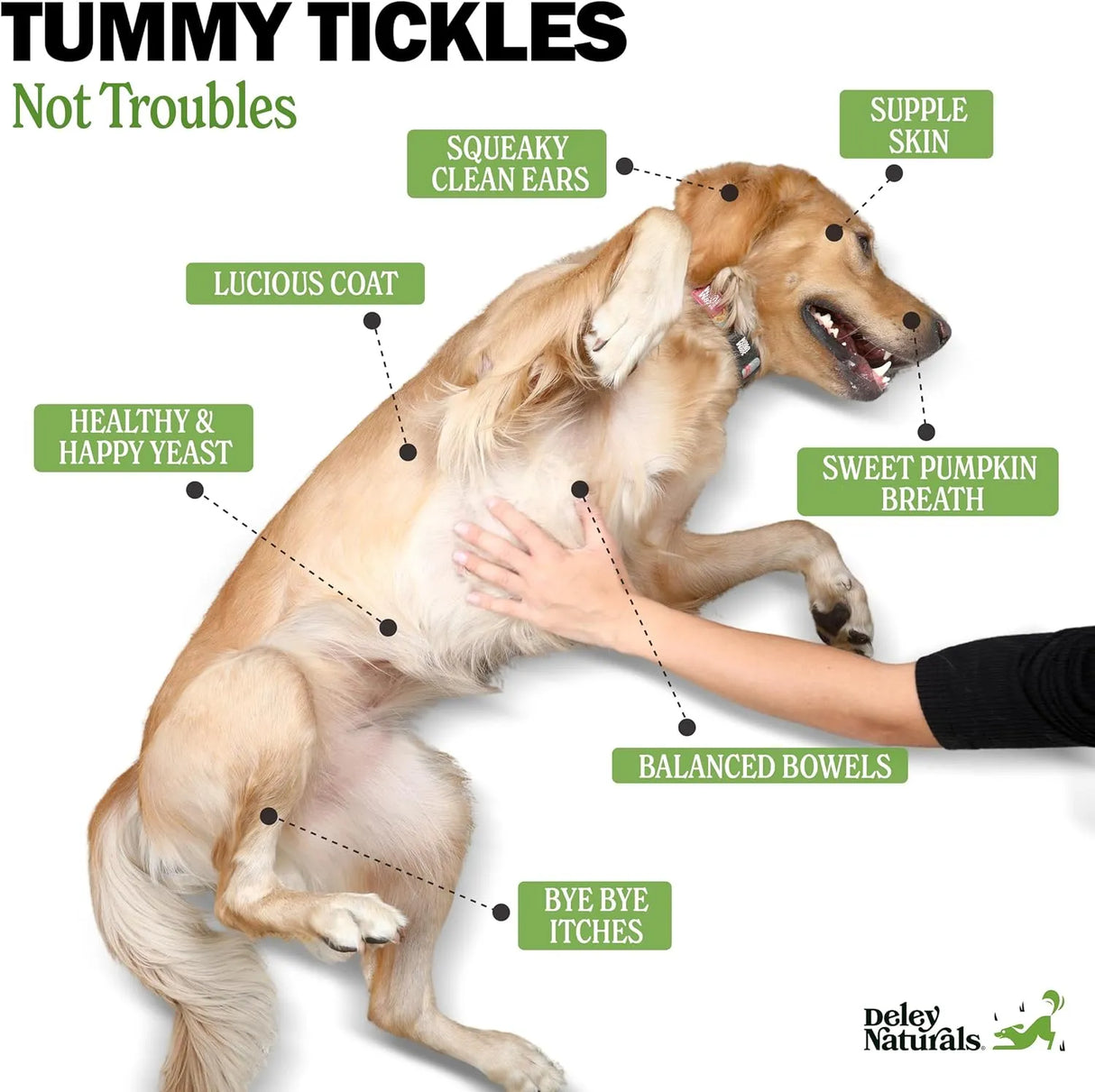 DELEY NATURALS - Deley Naturals Dog Probiotic Chews 90 Masticables - The Red Vitamin MX - Probióticos Para Perros - {{ shop.shopifyCountryName }}