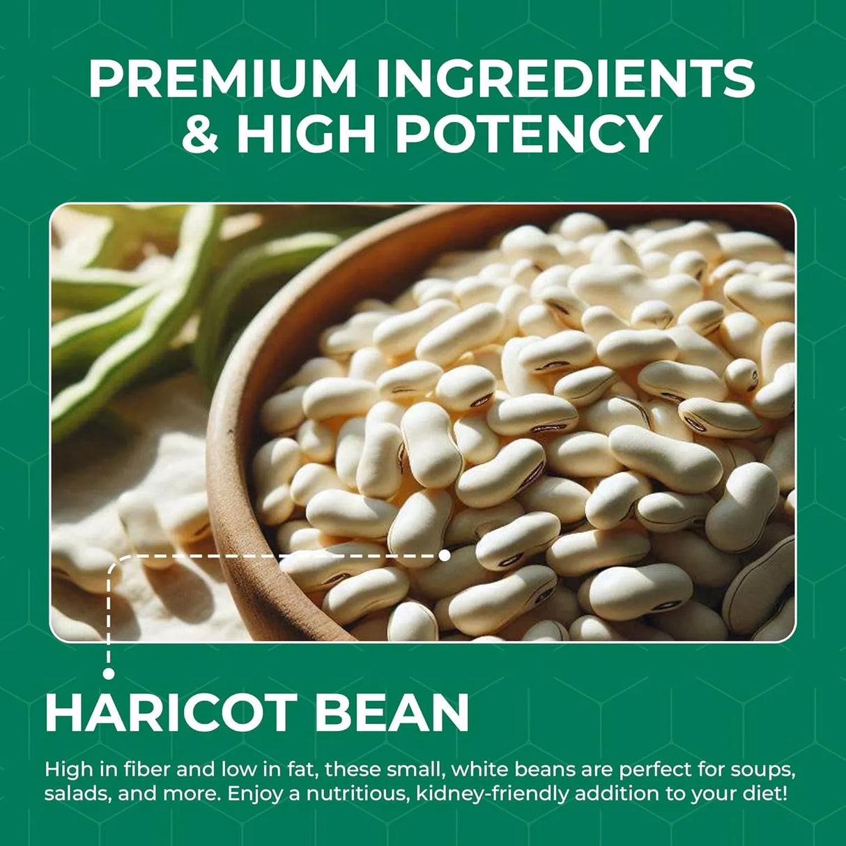 ELAN HEALTHCARE - Elan Healthcare White Kidney Bean Extract 60 Capsulas - The Red Vitamin MX - Suplementos Alimenticios - {{ shop.shopifyCountryName }}