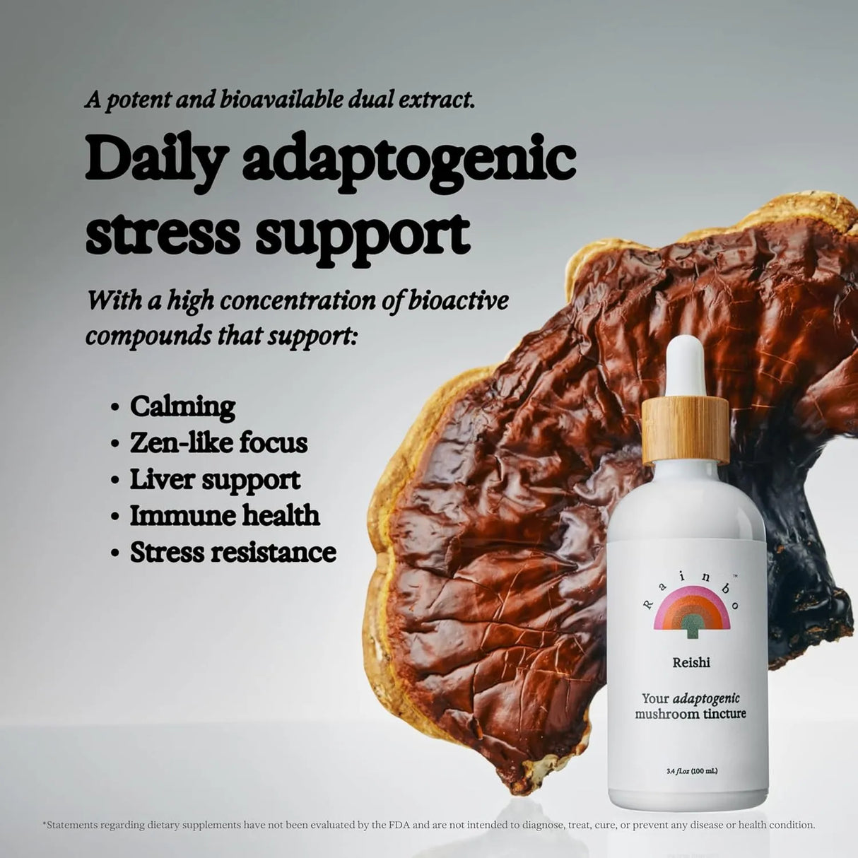 RAINBO - Rainbo Reishi Mushroom Tincture 3.4 Fl.Oz. - The Red Vitamin MX - Suplementos Alimenticios - {{ shop.shopifyCountryName }}