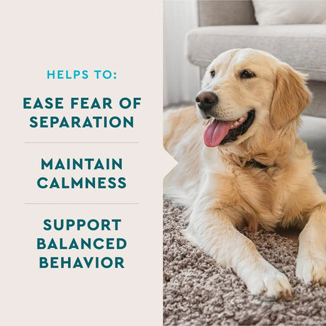 VETIQ - VetIQ Calming Support Supplement for Dogs 120 Masticables - The Red Vitamin MX - Relajantes Para Perros - {{ shop.shopifyCountryName }}