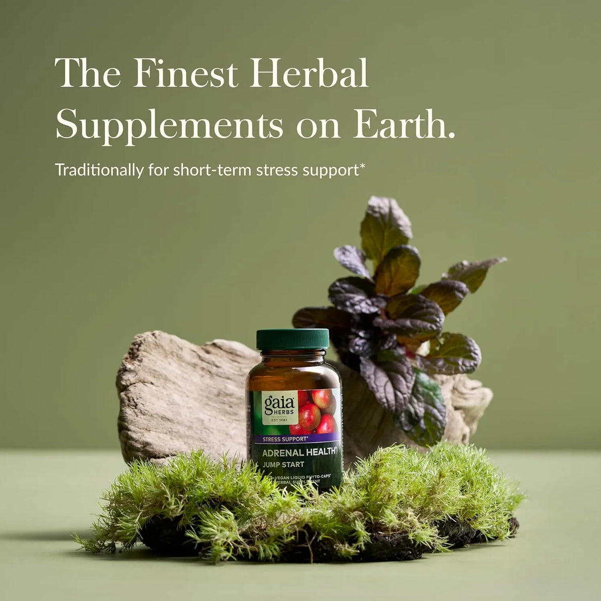 GAIA HERBS - Gaia Herbs Adrenal Health Jump Start 60 Capsulas - The Red Vitamin MX - Suplementos Alimenticios - {{ shop.shopifyCountryName }}