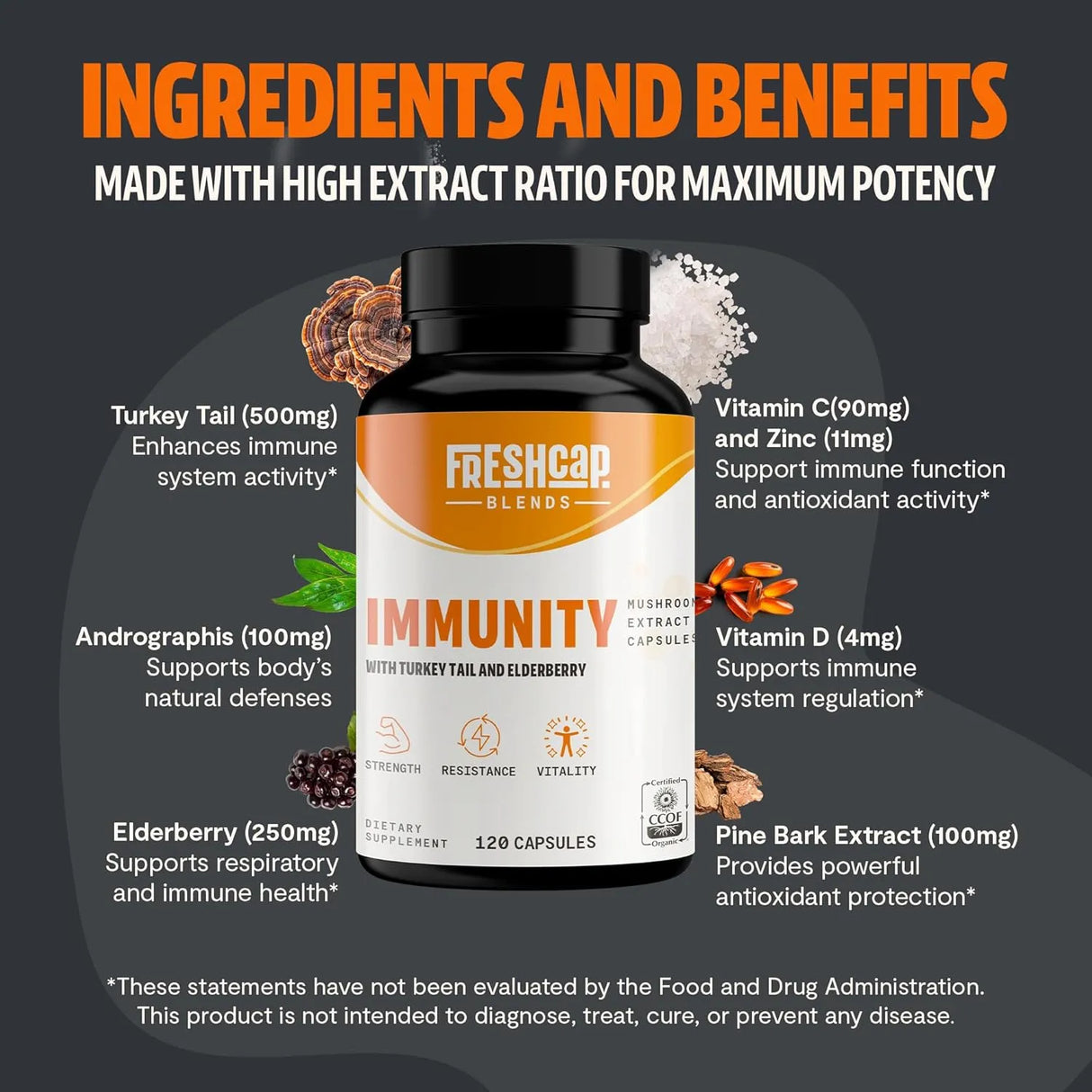 FRESHCAP - FreshCap 7-in-1 Immune Support Turkey Tail Mushroom and Elderberry 120 Capsulas - The Red Vitamin MX - Suplementos Alimenticios - {{ shop.shopifyCountryName }}