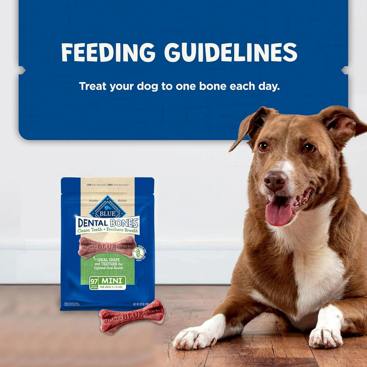 BLUE BUFFALO - Blue Buffalo Dental Bones Mini Natural Dental Chew Dog Treats 97 Piezas - The Red Vitamin MX - Cuidado Dental Para Perros - {{ shop.shopifyCountryName }}