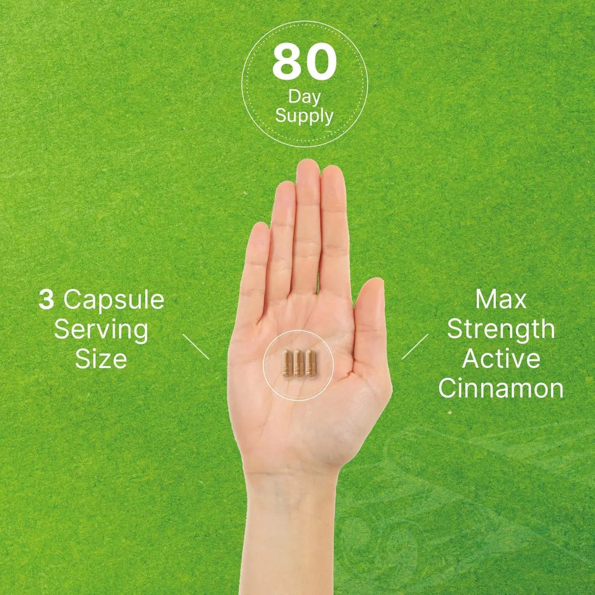 DEAL SUPPLEMENT - Deal Supplements Ceylon Cinnamon 6000Mg. with Chromium 1000mcg 240 Capsulas - The Red Vitamin MX - Suplementos Alimenticios - {{ shop.shopifyCountryName }}