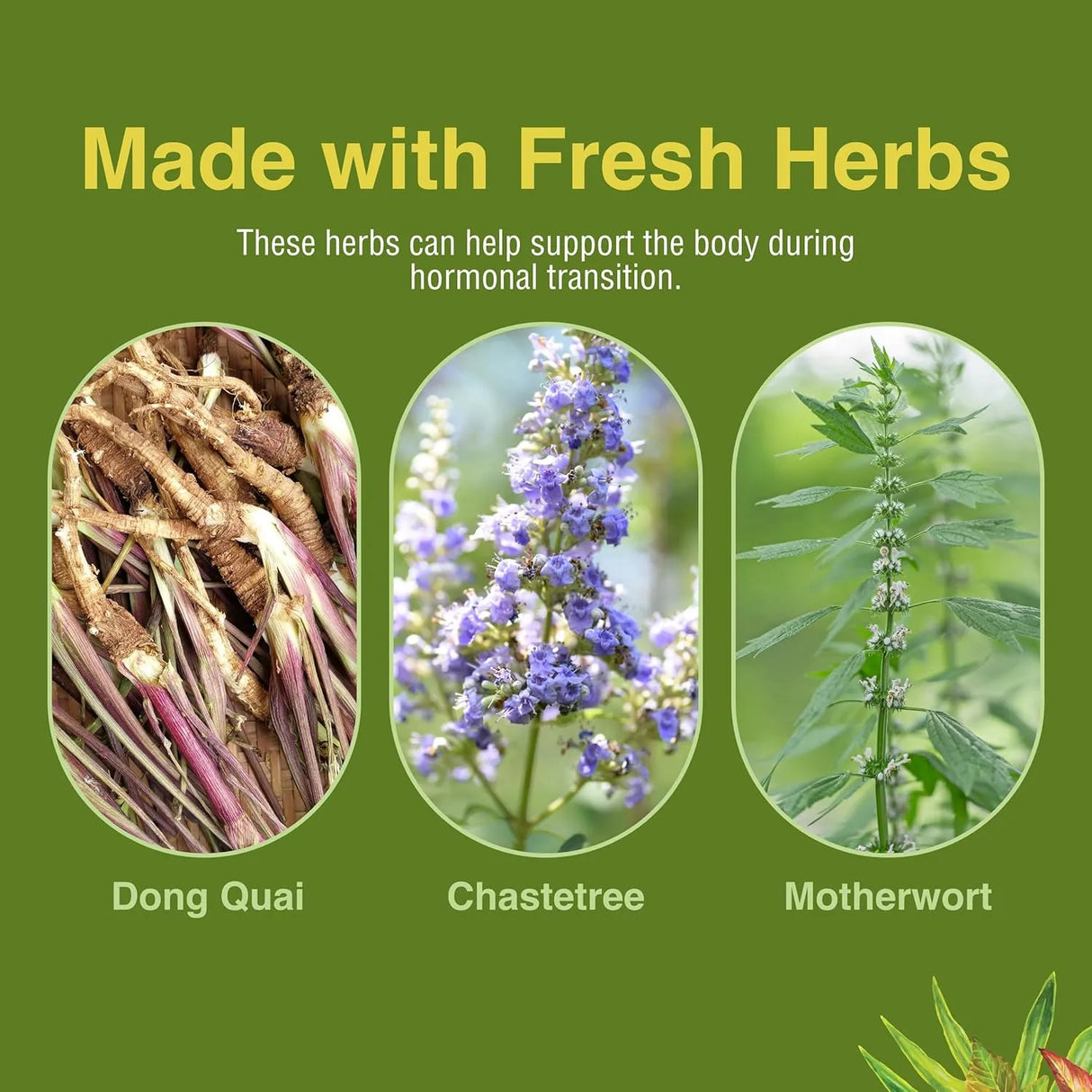 HERBS ETC - Herbs Etc. Menopautonic 120 Capsulas Blandas - The Red Vitamin MX - Suplementos Alimenticios - {{ shop.shopifyCountryName }}