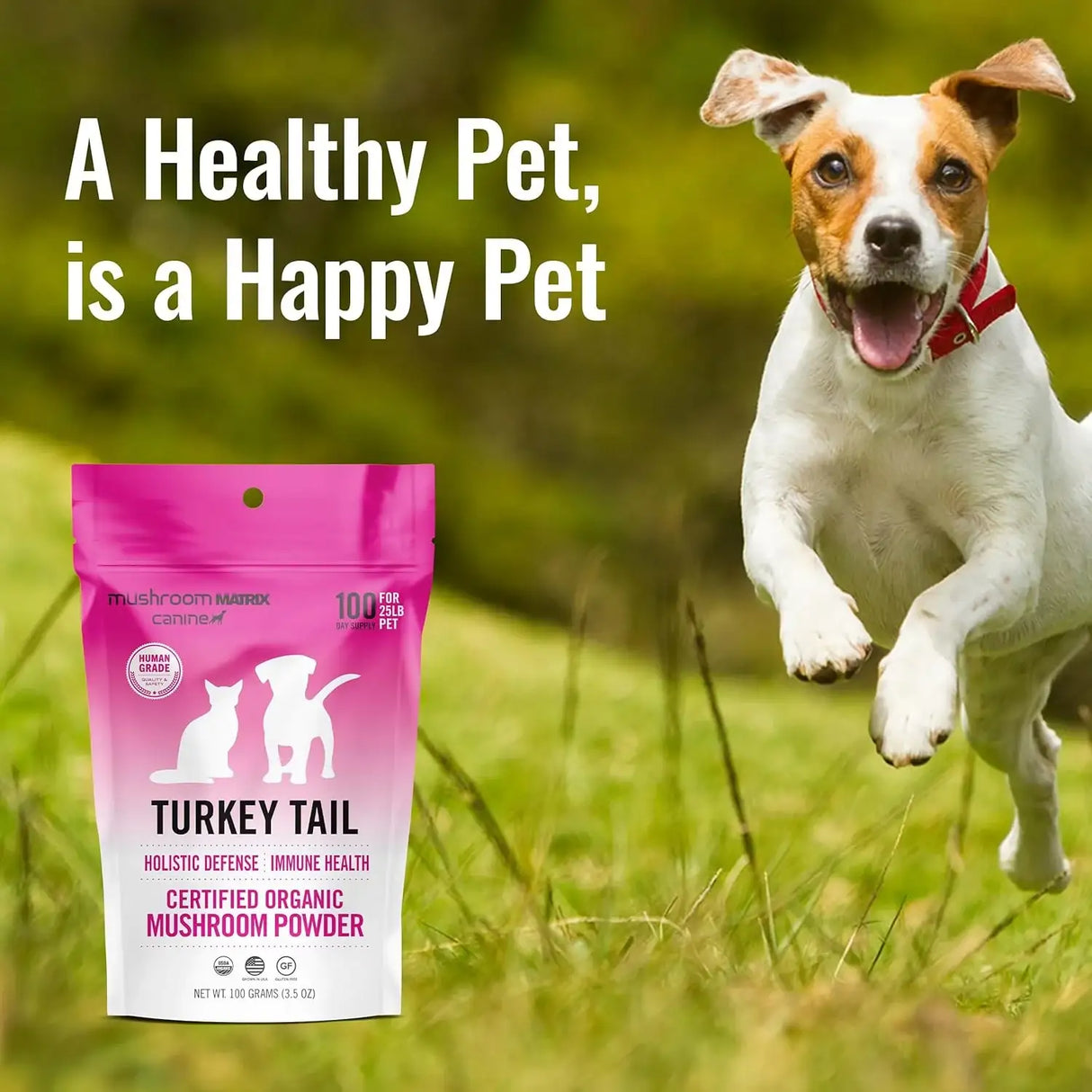 OM - Om Mushroom Matrix Pet Turkey Tail 100Gr. - The Red Vitamin MX - Suplementos Herbales Para Perros - {{ shop.shopifyCountryName }}