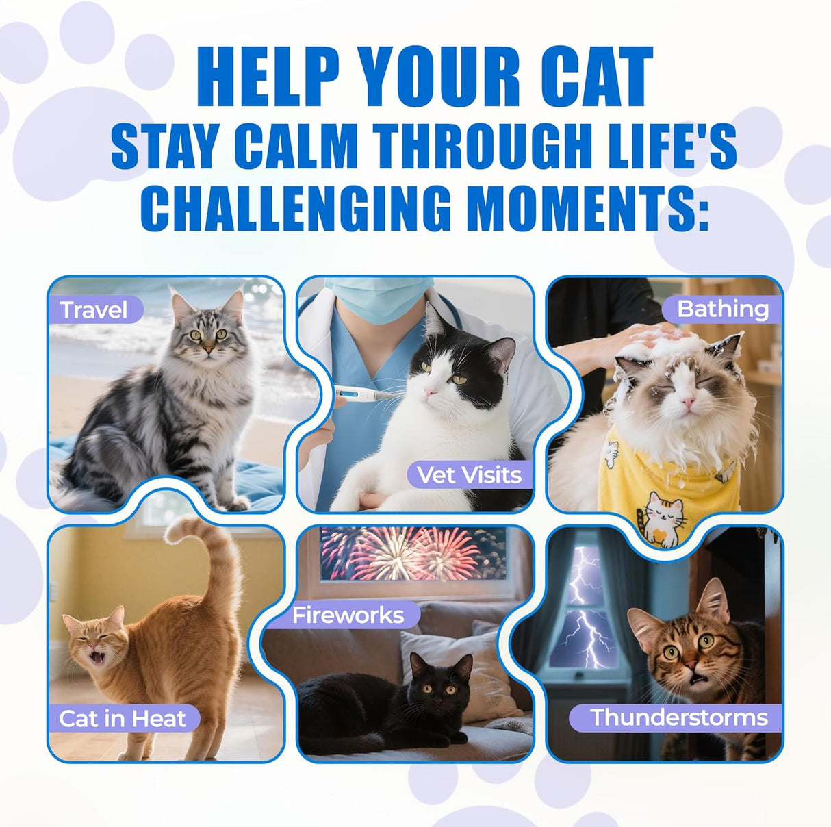 Just Try 300 Bites Calming Cat Treats for Relaxation 300 Masticables