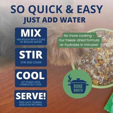 UNDER THE WEATHER - Under the Weather Bland Diet for Dogs Rice Hamburger & Bone Broth 6 Oz. 2 - The Red Vitamin MX - Medicamentos Sin Receta Para Perros - {{ shop.shopifyCountryName }}