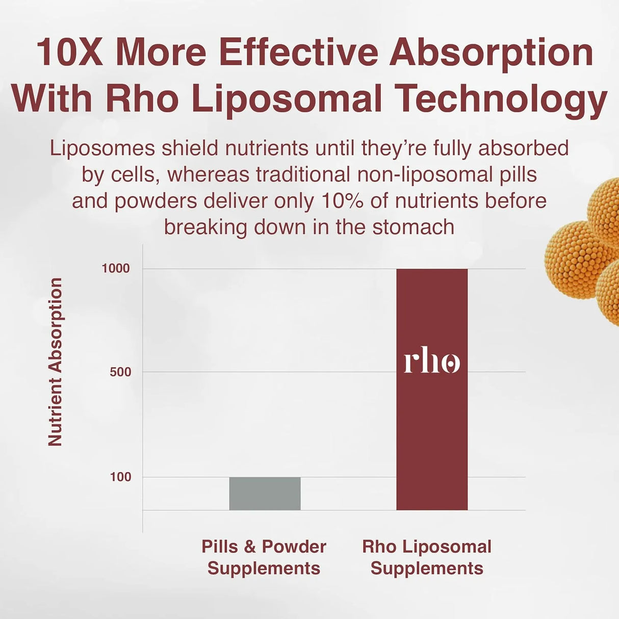 RHO NUTRITION - Rho Nutrition Liposomal Berberine 60 Capsulas - The Red Vitamin MX - Suplementos Alimenticios - {{ shop.shopifyCountryName }}