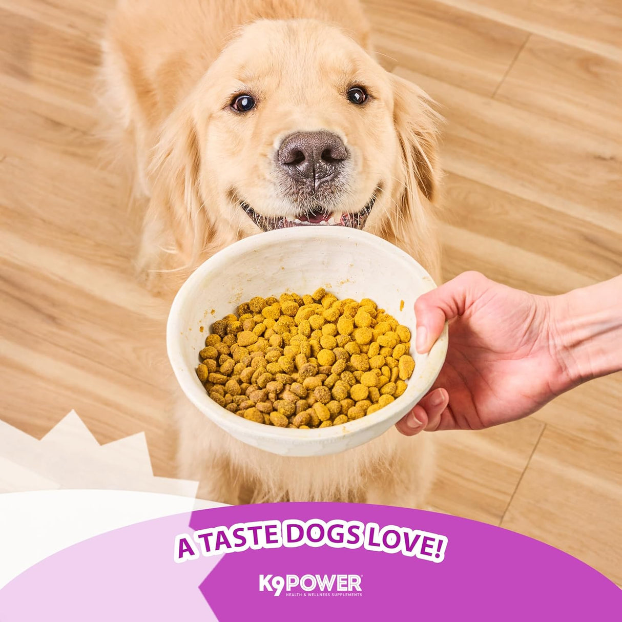 K9 Power Digest Forte for Dogs 454Gr. 2 Pack