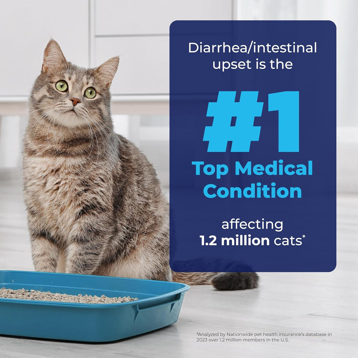 Vetnique Glandex Feline Anal Gland or Daily Probiotic Fiber Supplement Powder for Cats 114Gr.