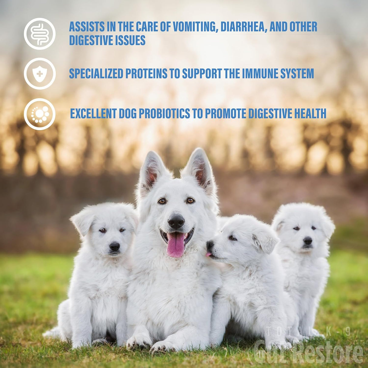 Total K-9 Gut Restore Canine Oral Paste 60Gr.