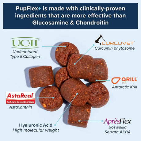 BIOPUP - BioPup PupFlex+ Dog Joint Supplement 60 Masticables - The Red Vitamin MX - Cuidado De Cadera Y Articulaciones Para Perros - {{ shop.shopifyCountryName }}