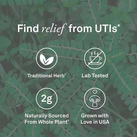 ORGANIKA - Organika Chanca Piedra 500Mg. 30 Capsulas - The Red Vitamin MX - Suplementos Alimenticios - {{ shop.shopifyCountryName }}