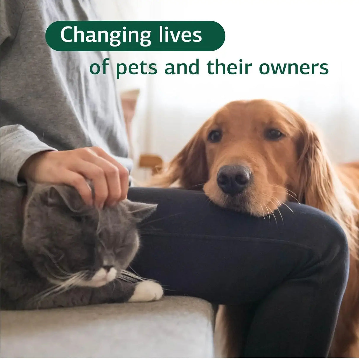 STANDARD PROCESS - Standard Process Inc. VF Omega-3 for Pets 90 Capsulas Blandas - The Red Vitamin MX - Aceite De Pescado Para Perros - {{ shop.shopifyCountryName }}