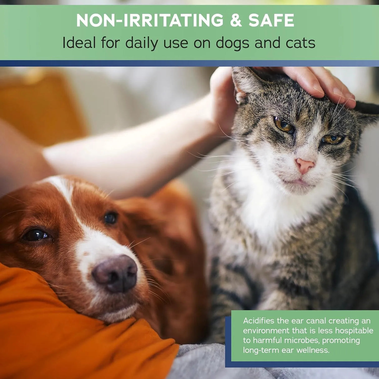 STRATFORD - Stratford Pharmaceuticals Ear Cleaner & Drying Solution for Dogs & Cats 8 Fl.Oz. - The Red Vitamin MX - Cuidado Del Oído De Perros - {{ shop.shopifyCountryName }}
