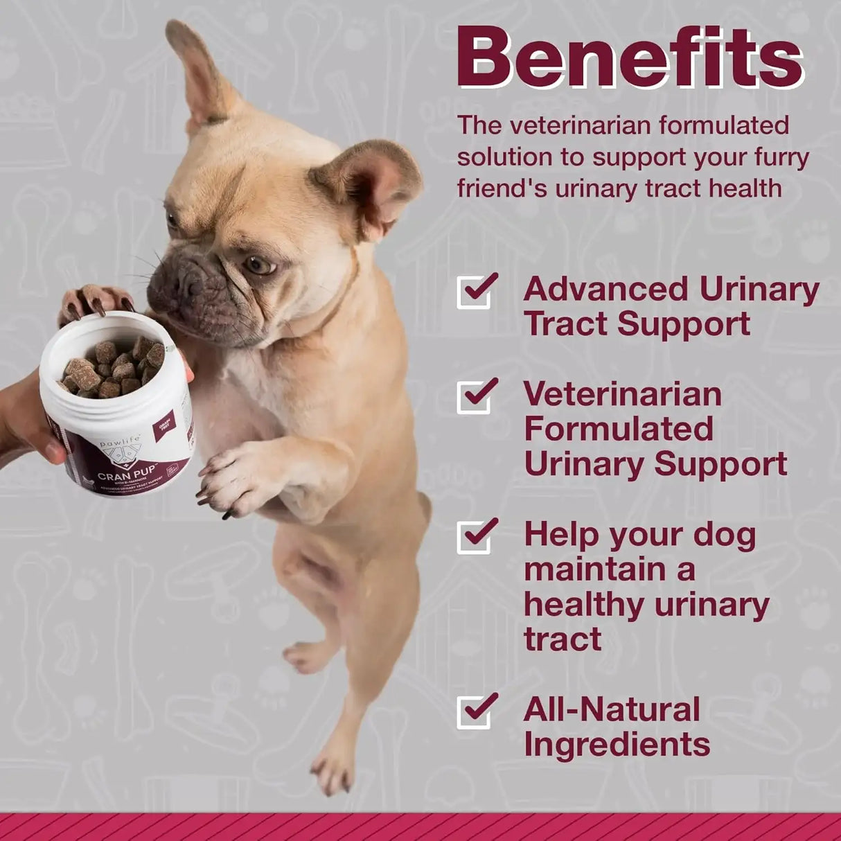 PAWLIFE - Pawlife Cranberry Supplements for Dogs 120 Masticables 2 Pack - The Red Vitamin MX - Salud De Tracto Urinario Para Perros - {{ shop.shopifyCountryName }}