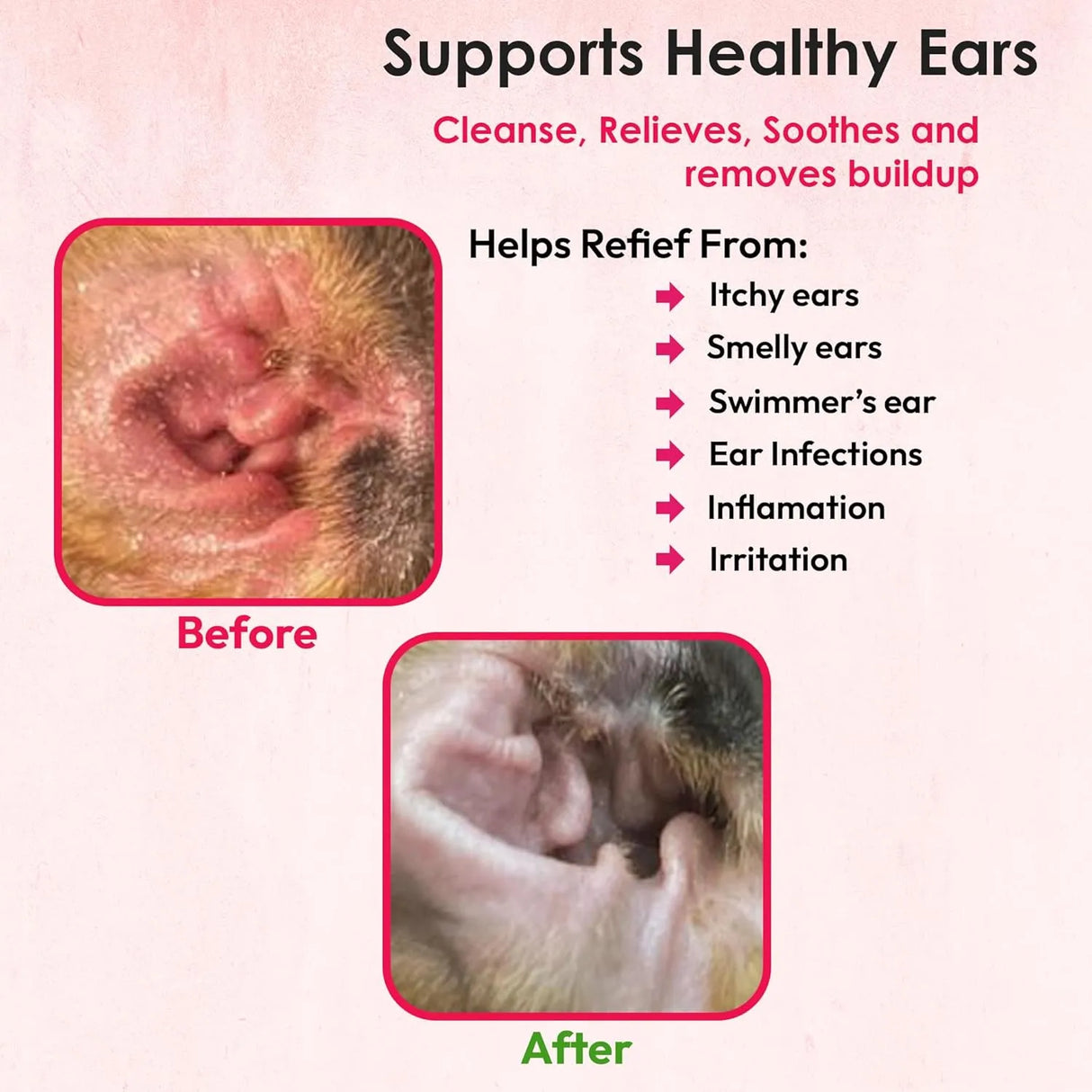 TRUSEB - Truseb Advanced Topical Dog Ear Wash 12 Fl.Oz. - The Red Vitamin MX - Cuidado Del Oído De Perros - {{ shop.shopifyCountryName }}