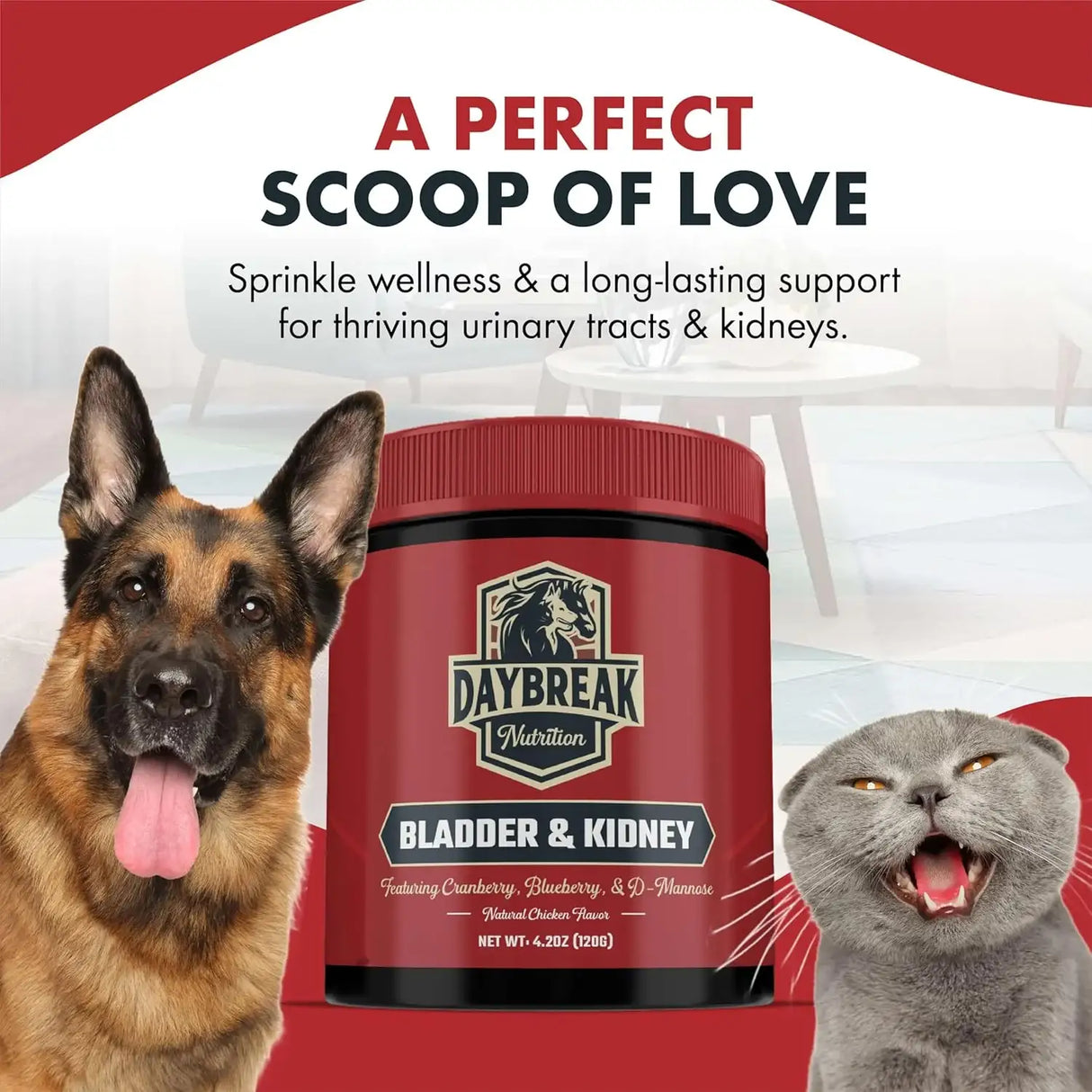 DAYBREAK NUTRITION - Daybreak Nutrition Bladder and Kidney Relief for Dogs & Cats 120Gr. - The Red Vitamin MX - Salud De Tracto Urinario Para Perros - {{ shop.shopifyCountryName }}