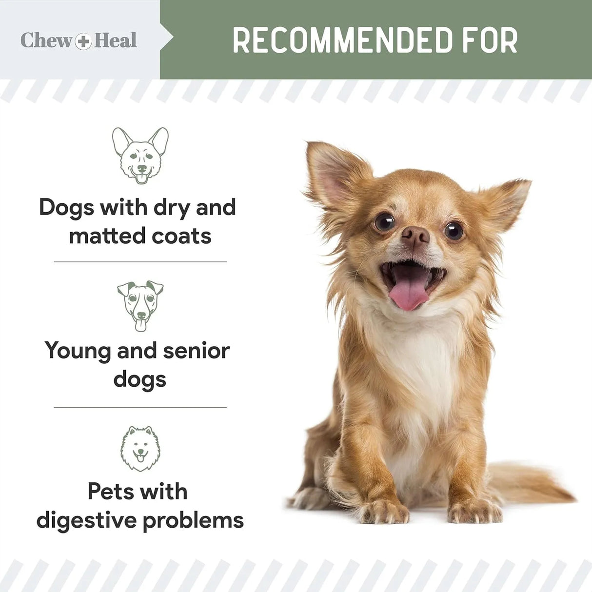CHEW + HEAL - Chew + Heal All in 1 Dog Vitamins 120 Masticables - The Red Vitamin MX - Multivitamínicos Para Perros - {{ shop.shopifyCountryName }}