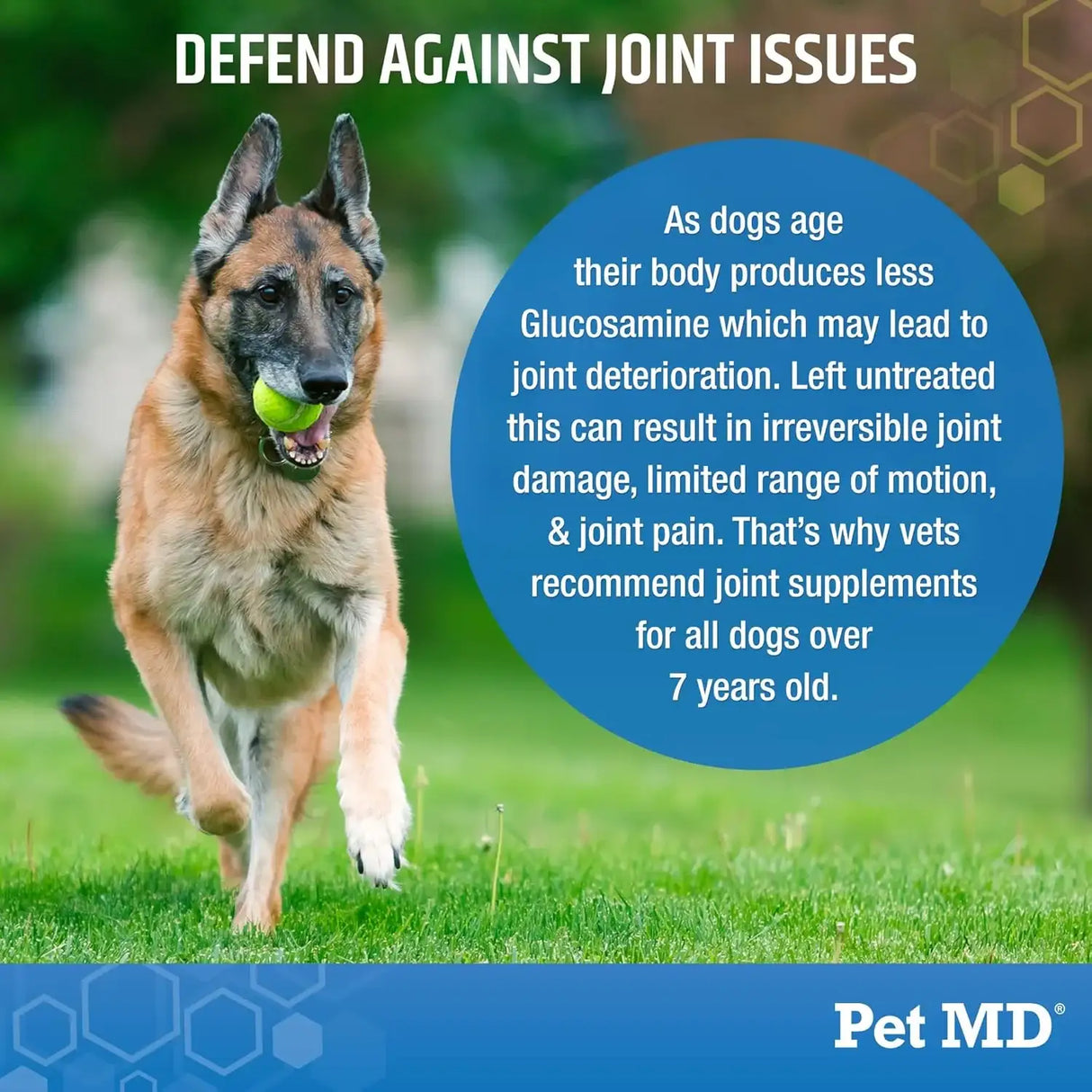 PET MD - Pet MD Glucosamine for Dogs 120 Masticables - The Red Vitamin MX - Cuidado De Cadera Y Articulaciones Para Perros - {{ shop.shopifyCountryName }}