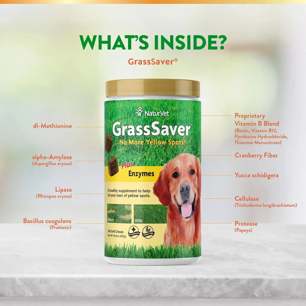 NATURVET - NaturVet GrassSaver Supplement for Dogs 240 Masticables - The Red Vitamin MX - Salud De Tracto Urinario Para Perros - {{ shop.shopifyCountryName }}