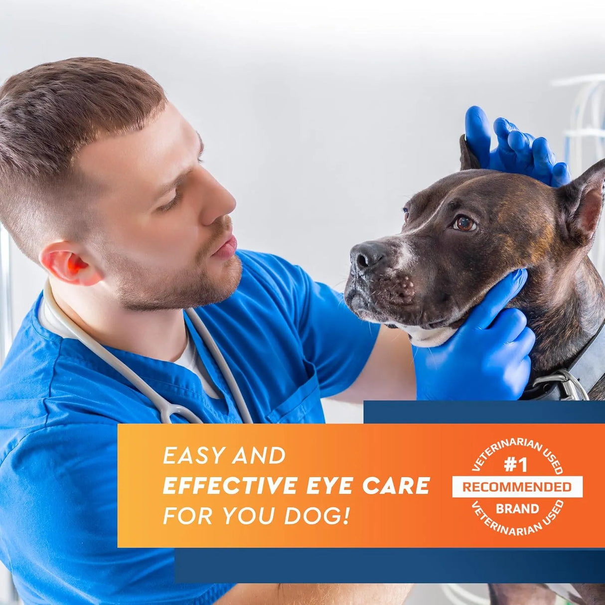 BELOVED PETS - Beloved Pets All Pets Eye Wash Drops 100Ml. - The Red Vitamin MX - Cuidado De Los Ojos De Los Perros - {{ shop.shopifyCountryName }}