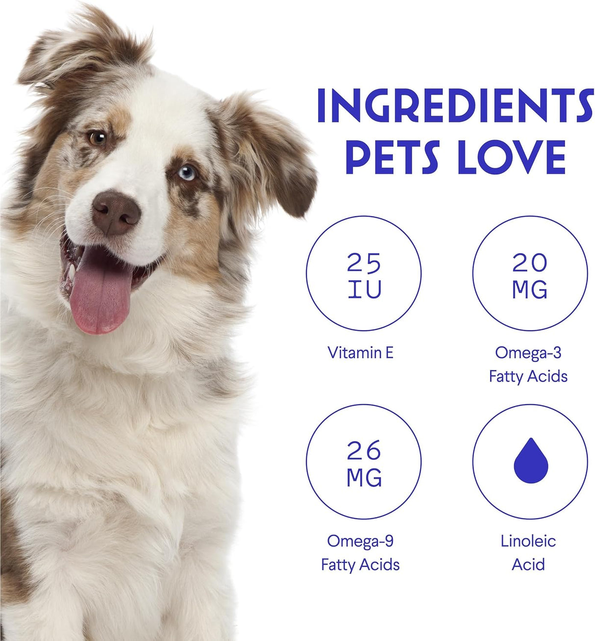 WONDER PAWS Skin & Coat Supplement for Dogs with Salmon Oil 70 Masticables