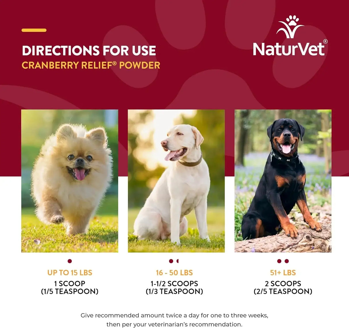 NATURVET - NaturVet Cranberry Relief Plus Echinacea Powder 50Gr. - The Red Vitamin MX - Salud De Tracto Urinario Para Perros - {{ shop.shopifyCountryName }}
