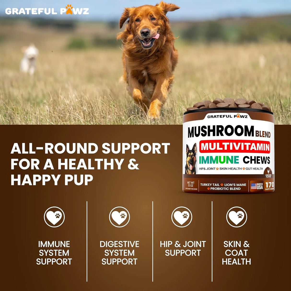 GRATEFUL PAWZ - Grateful Pawz Dog Mushroom Multivitamin Chewable 170 Masticables - The Red Vitamin MX - Multivitamínicos Para Perros - {{ shop.shopifyCountryName }}