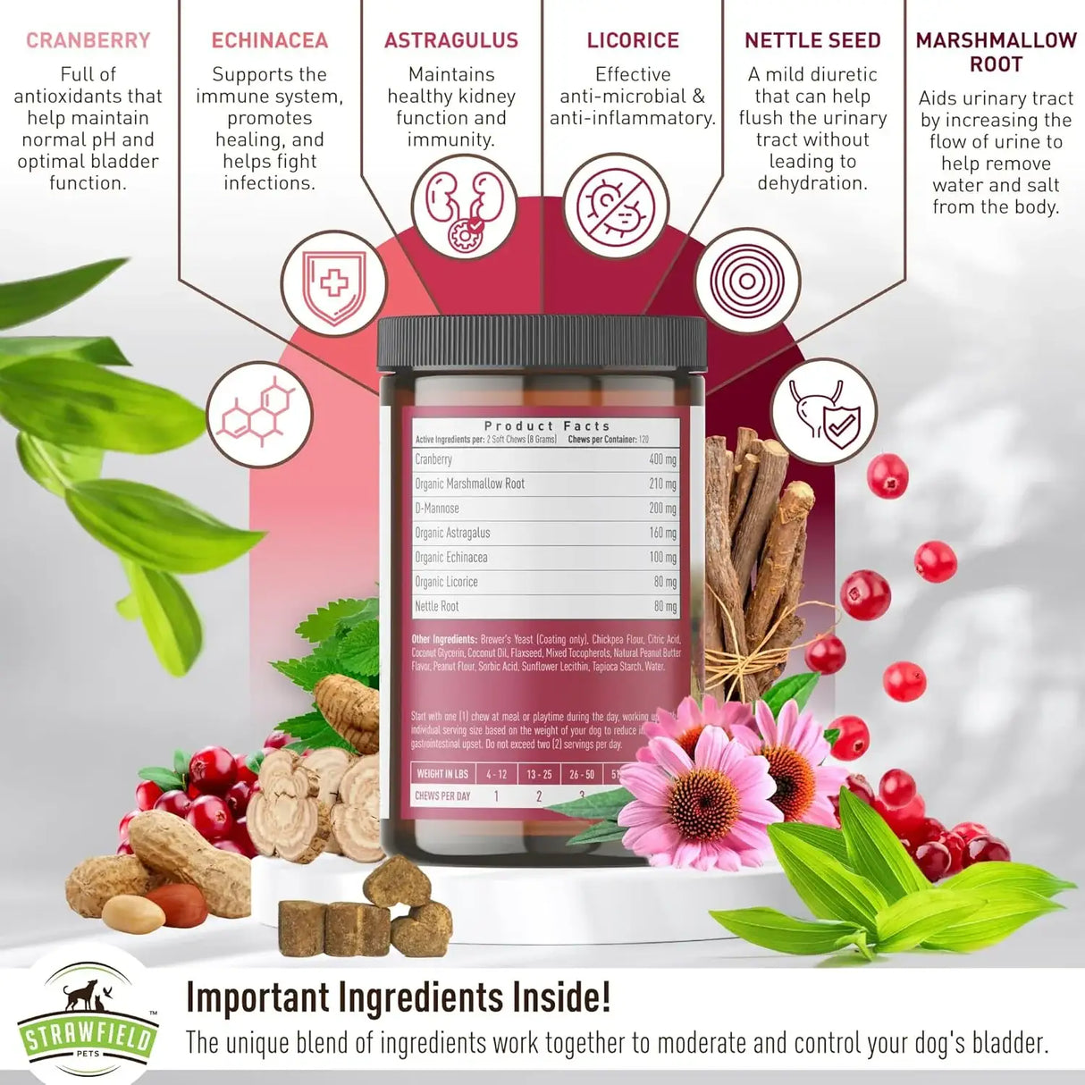 STRAWFIELD PETS - Strawfield Pets Cranberry UTI Treatment for Dogs Peanut Butter Flavor 120 Masticables - The Red Vitamin MX - Salud De Tracto Urinario Para Perros - {{ shop.shopifyCountryName }}