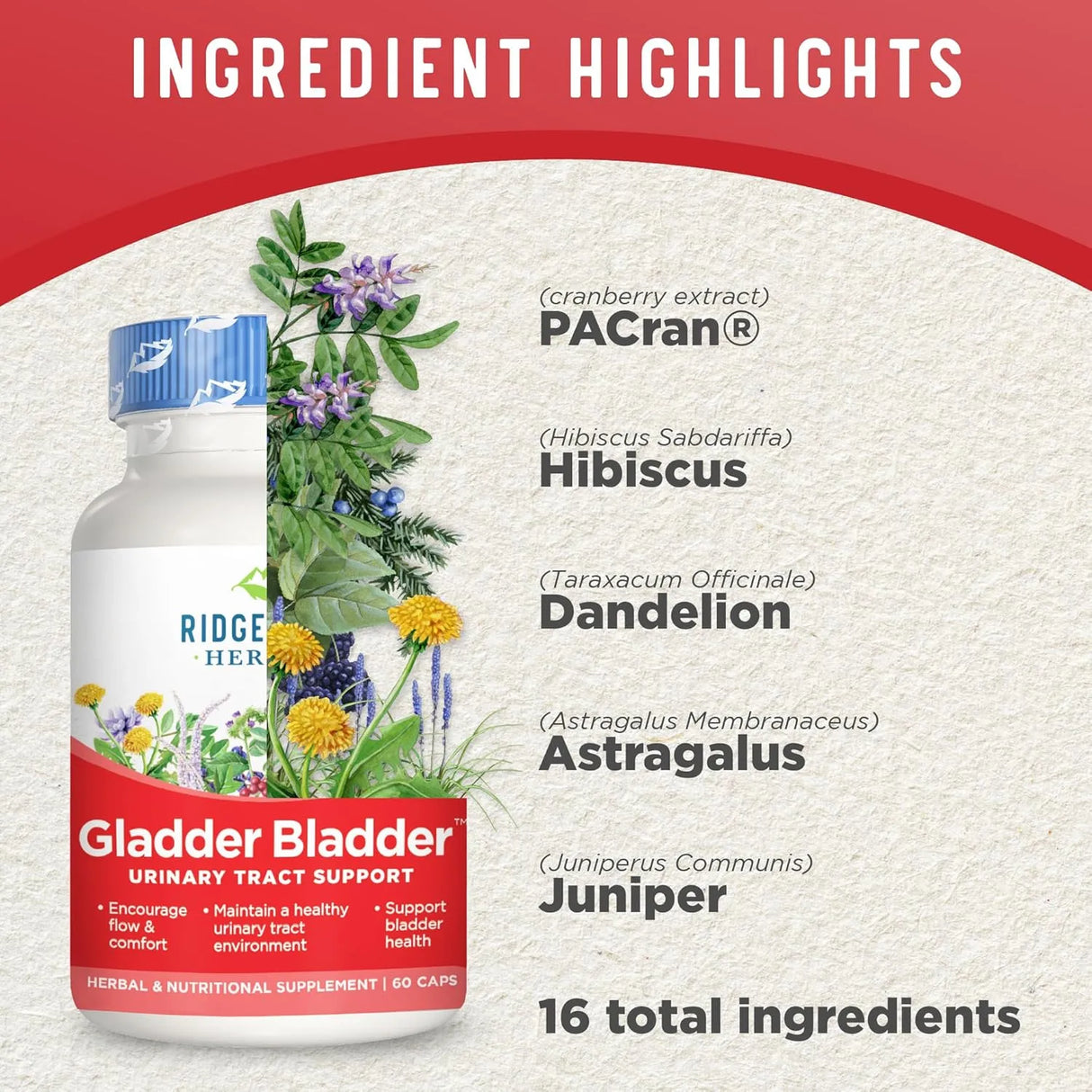 RIDGECREST HERBALS - RidgeCrest Herbals Gladder Bladder 60 Capsulas - The Red Vitamin MX - Suplementos Alimenticios - {{ shop.shopifyCountryName }}