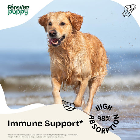 FOREVER PUPPY - Forever Puppy Red Reishi Mushroom Tincture for Dogs 2 Fl.Oz. - The Red Vitamin MX - Suplementos Herbales Para Perros - {{ shop.shopifyCountryName }}