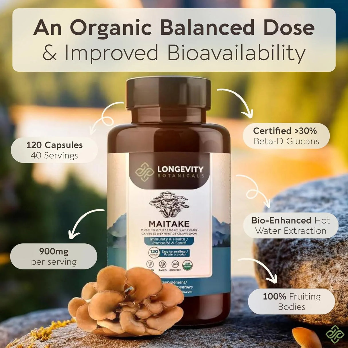 LONGEVITY BOTANICALS - Longevity Botanicals Organic Maitake Mushroom Extract 120 Capsulas - The Red Vitamin MX - Suplementos Alimenticios - {{ shop.shopifyCountryName }}