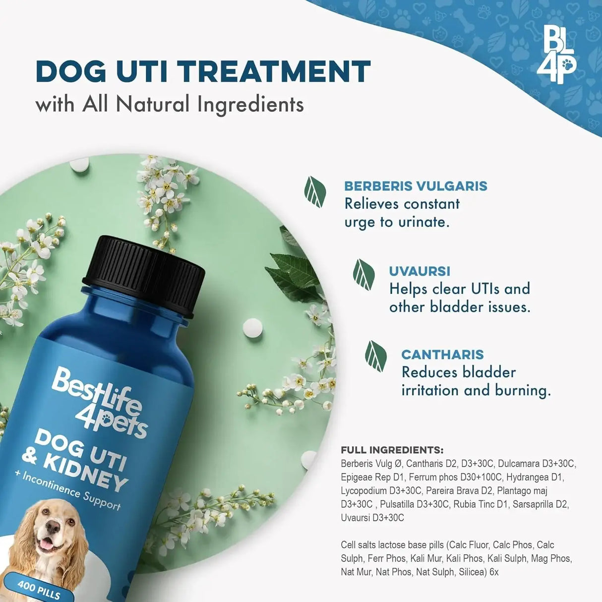 BESTLIFE4PETS - BestLife4Pets Dog UTI Treatment 400 Tabletas - The Red Vitamin MX - Salud De Tracto Urinario Para Perros - {{ shop.shopifyCountryName }}
