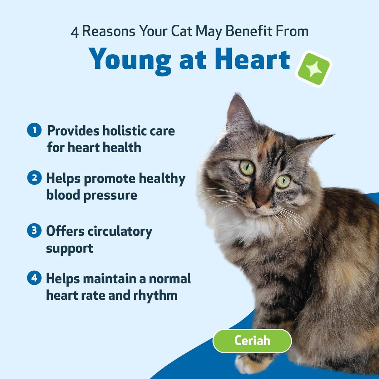Pet Wellbeing Young at Heart for Cats 2 Fl.Oz.
