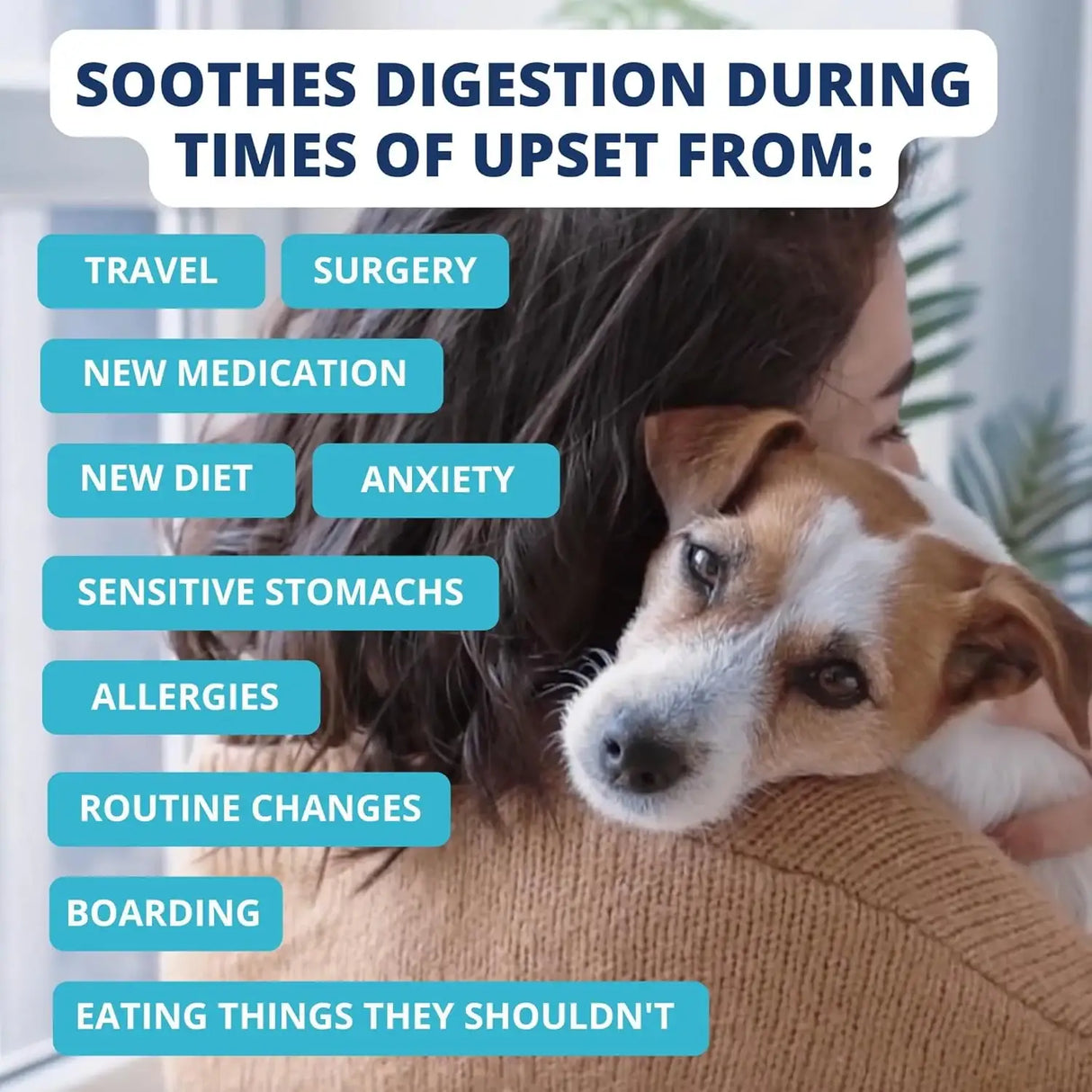 UNDER THE WEATHER - Under the Weather Bland Diet for Dogs Chicken Rice 6 Oz. - The Red Vitamin MX - Medicamentos Sin Receta Para Perros - {{ shop.shopifyCountryName }}