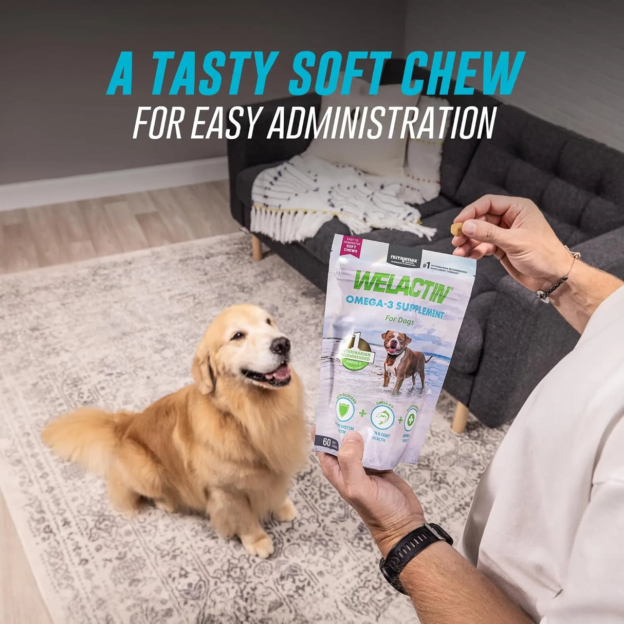 NUTRAMAX - Nutramax Welactin Daily Omega-3 Supplement For Dogs 60 Masticables - The Red Vitamin MX - Aceite De Pescado Para Perros - {{ shop.shopifyCountryName }}