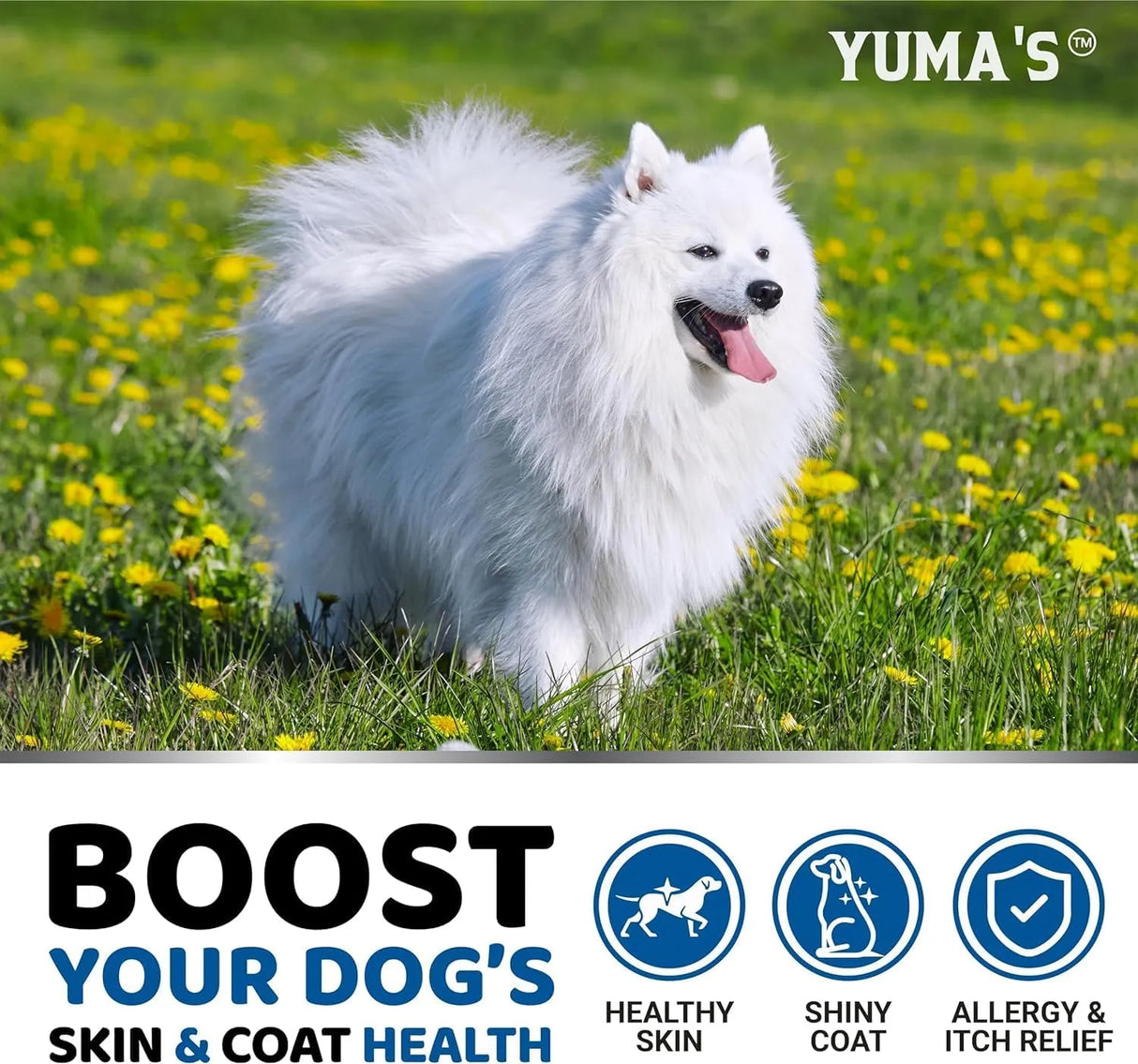 YUMA'S - YUMA'S Omega 3 Fish Oil for Dogs Chicken Flavor 170 Masticables 2 Pack - The Red Vitamin MX - Aceite De Pescado Para Perros - {{ shop.shopifyCountryName }}