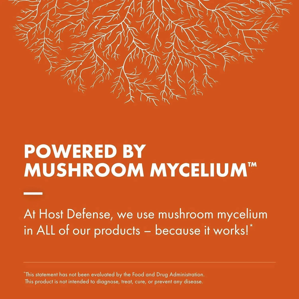 HOST DEFENSE - Host Defense Breathe Immune & Respiratory Support 60 Capsulas - The Red Vitamin MX - Suplementos Alimenticios - {{ shop.shopifyCountryName }}