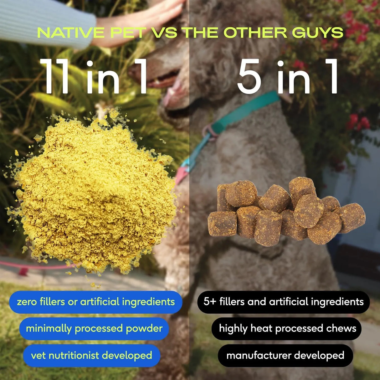 NATIVE PET - Native Pet 11-in-1 Multivitamin Powder for Dogs 30 Servicios - The Red Vitamin MX - Multivitamínicos Para Perros - {{ shop.shopifyCountryName }}