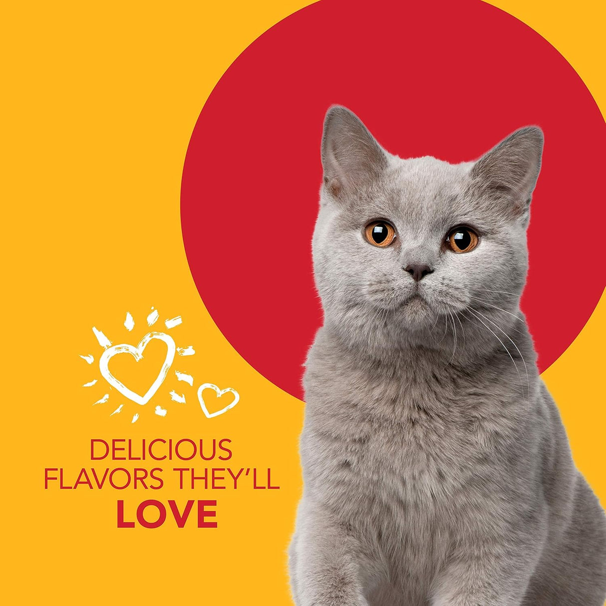 Petrodex Dental Care Kit for Cats Cat Toothbrush and Toothpaste