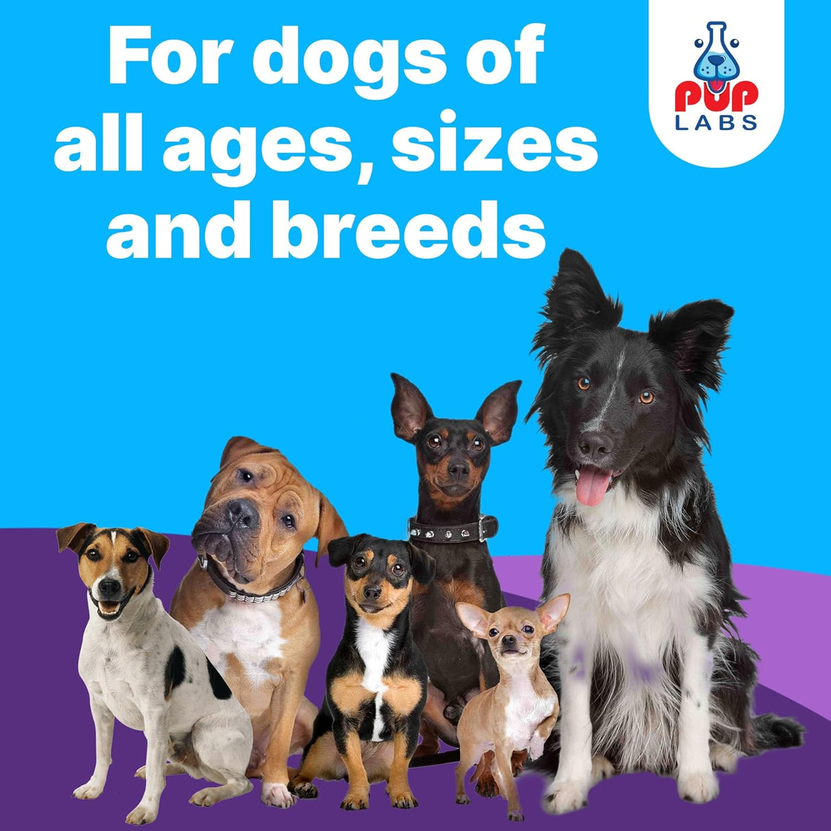 Pup Labs Freedom Joint Drops for Dogs 30Ml.