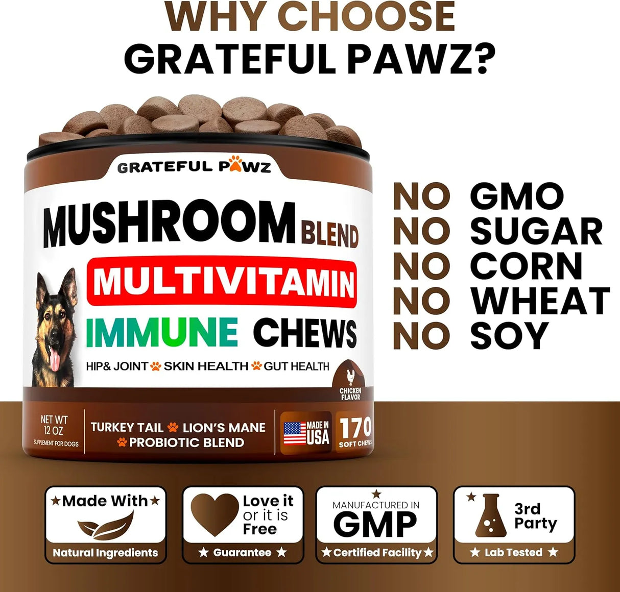 GRATEFUL PAWZ - Grateful Pawz Dog Mushroom Multivitamin Chewable 170 Masticables - The Red Vitamin MX - Multivitamínicos Para Perros - {{ shop.shopifyCountryName }}